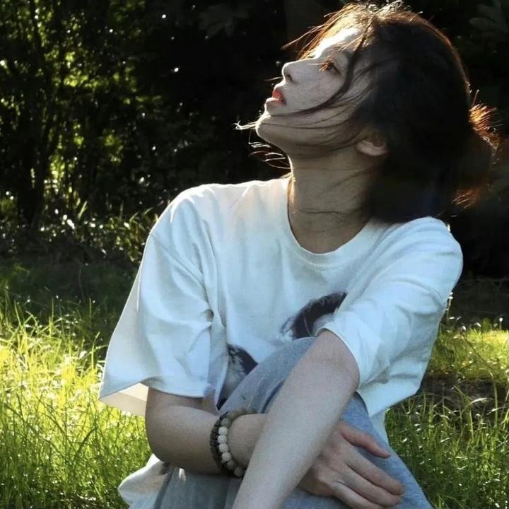 挎斗摩托车里的狗